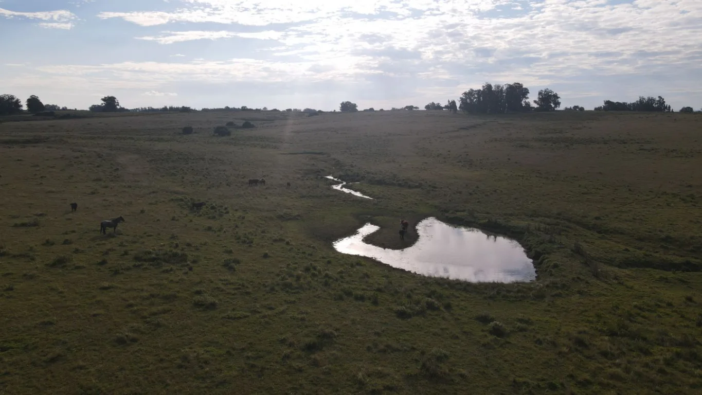 Campo en José Ignacio, propiedad 289775 -Imagen 16