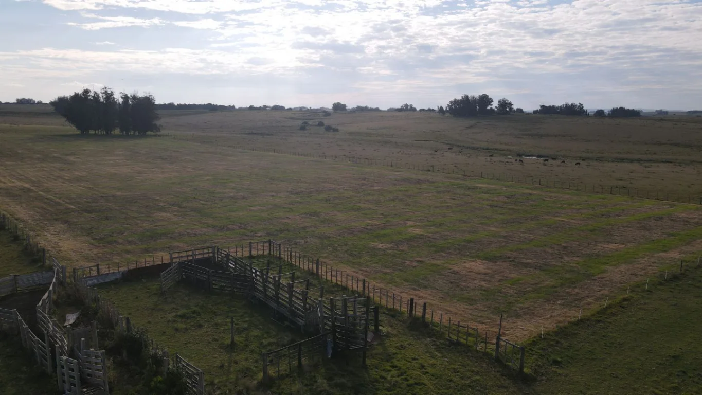 Campo en José Ignacio, propiedad 289775 -Imagen 18