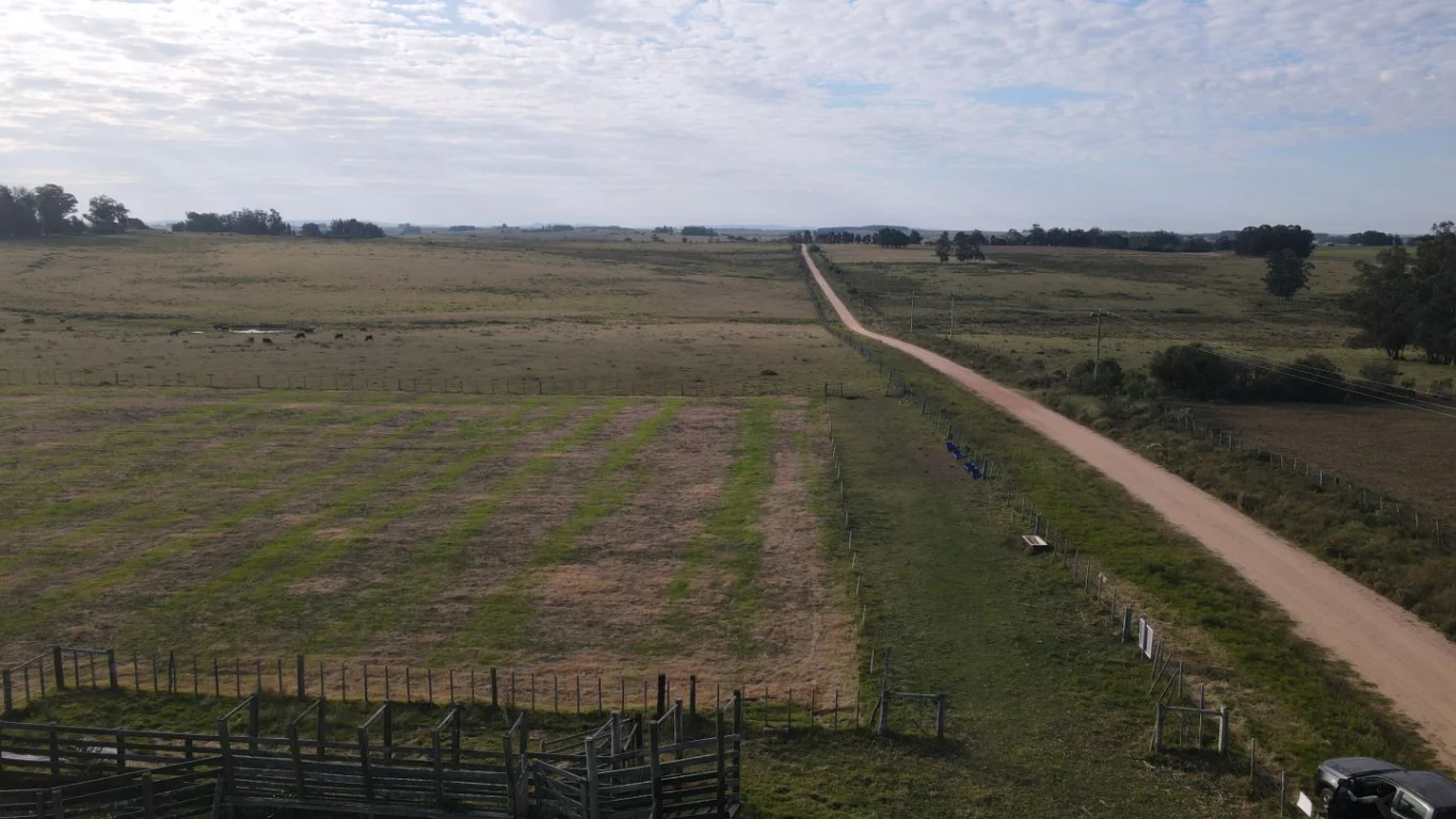 Campo en José Ignacio, propiedad 289775 -Imagen 19
