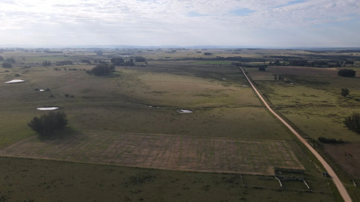 Campo en José Ignacio, propiedad 289775 -Imagen 2