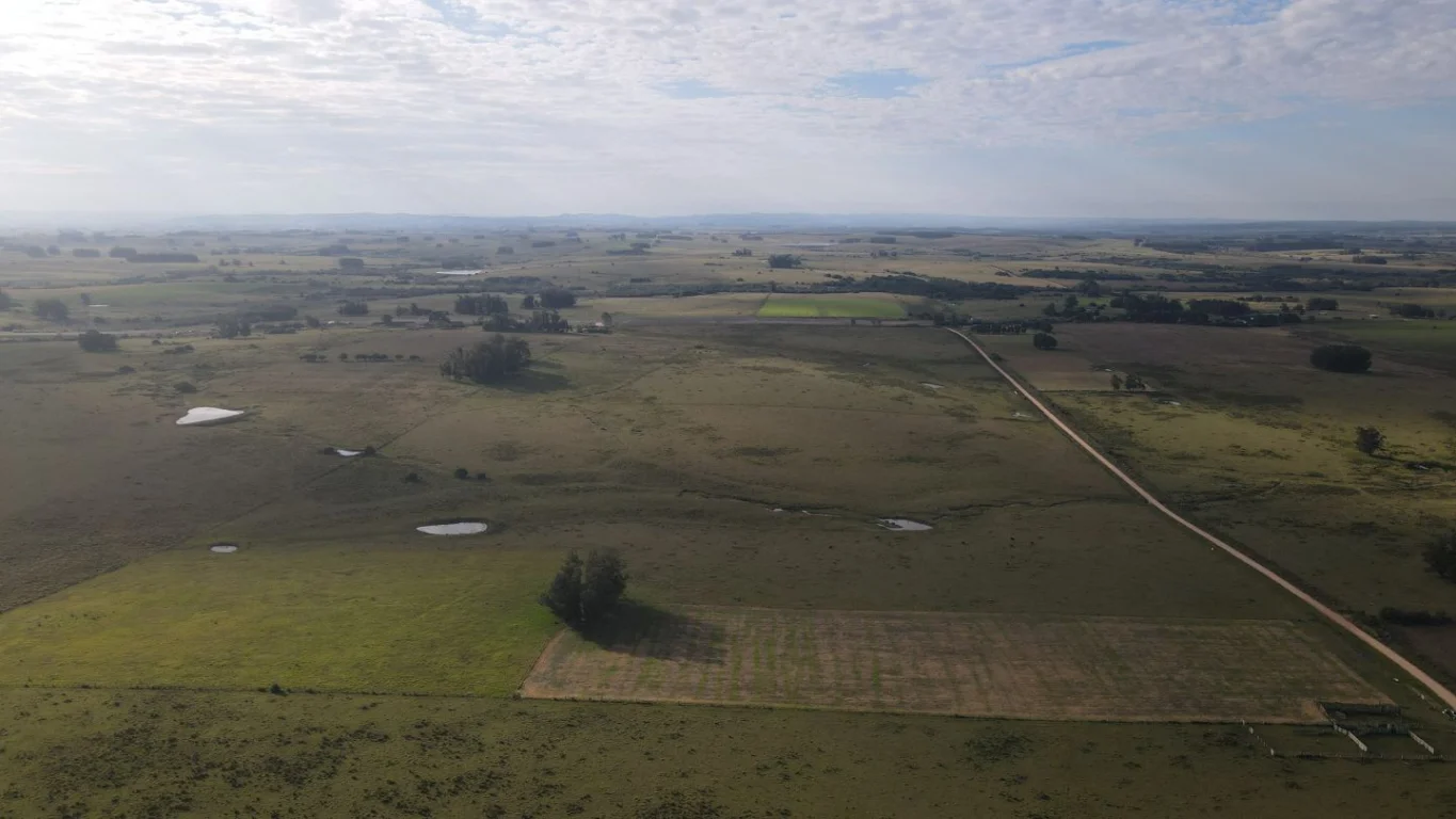 Campo en José Ignacio, propiedad 289775 -Imagen 3