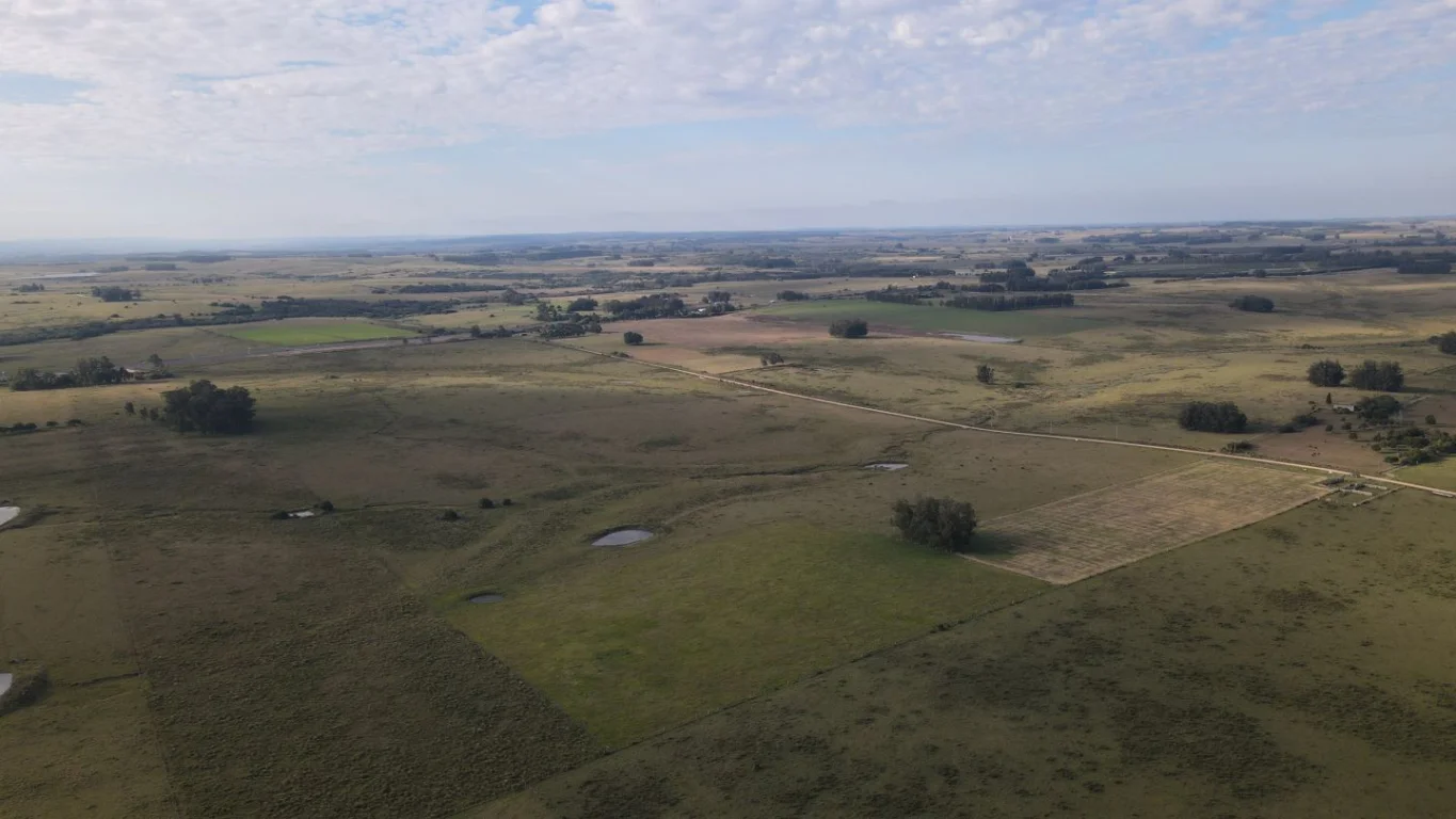 Campo en José Ignacio, propiedad 289775 -Imagen 4