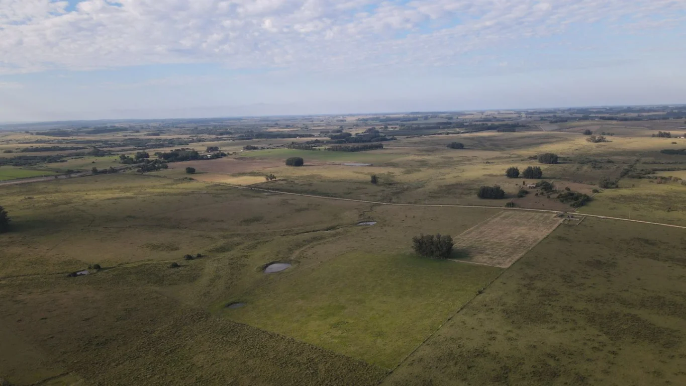 Campo en José Ignacio, propiedad 289775 -Imagen 5