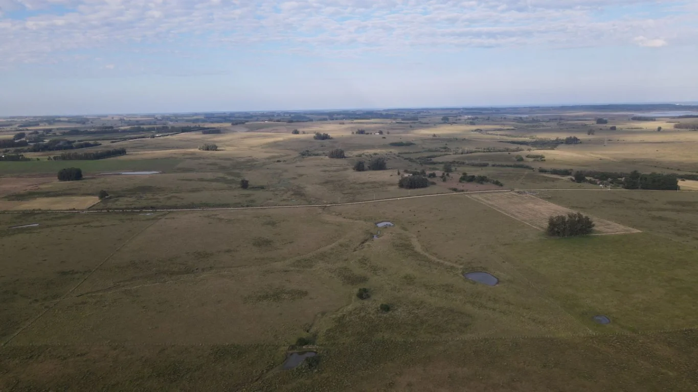 Campo en José Ignacio, propiedad 289775 -Imagen 6