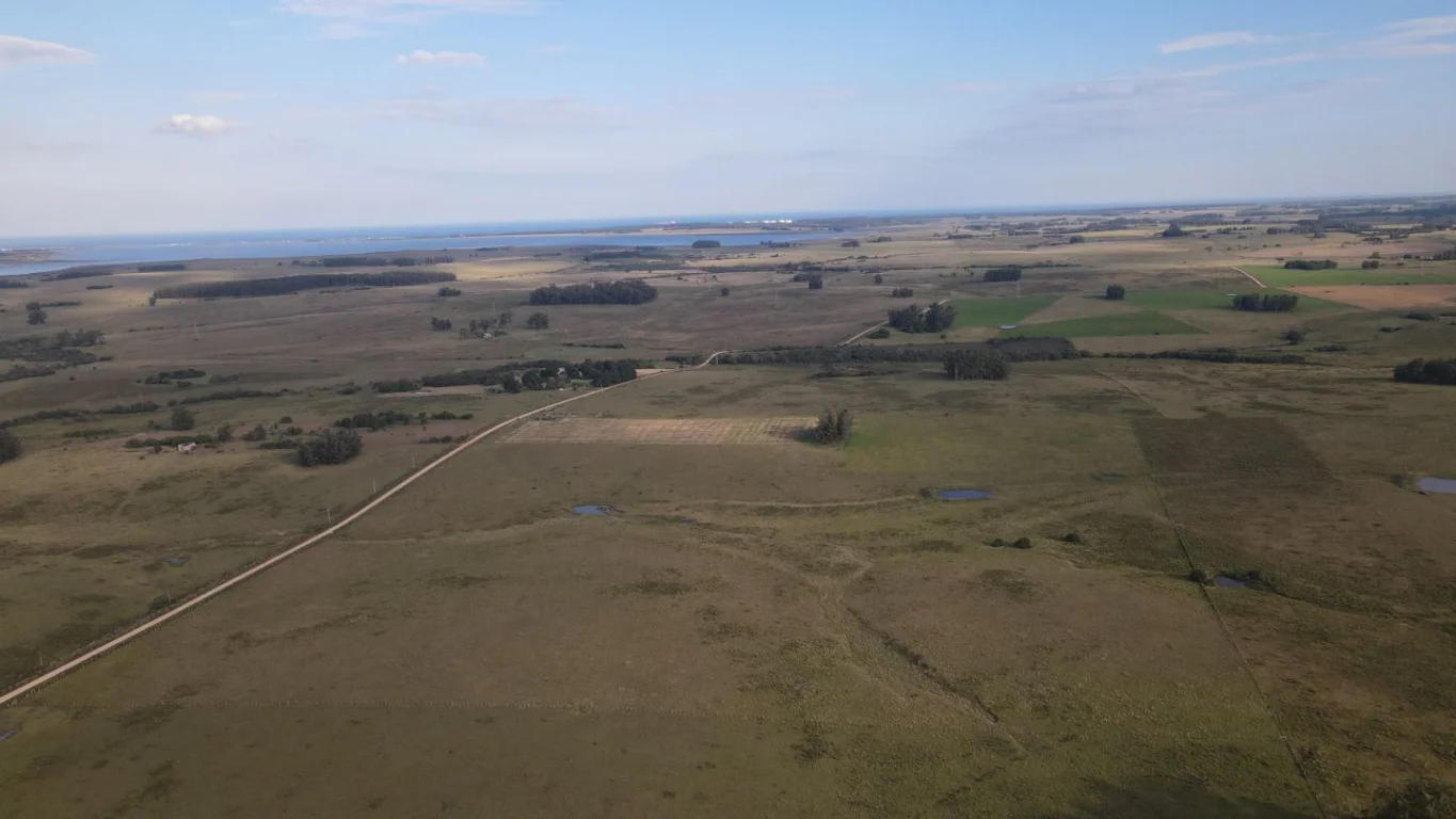Campo en José Ignacio, propiedad 289775 -Imagen 7