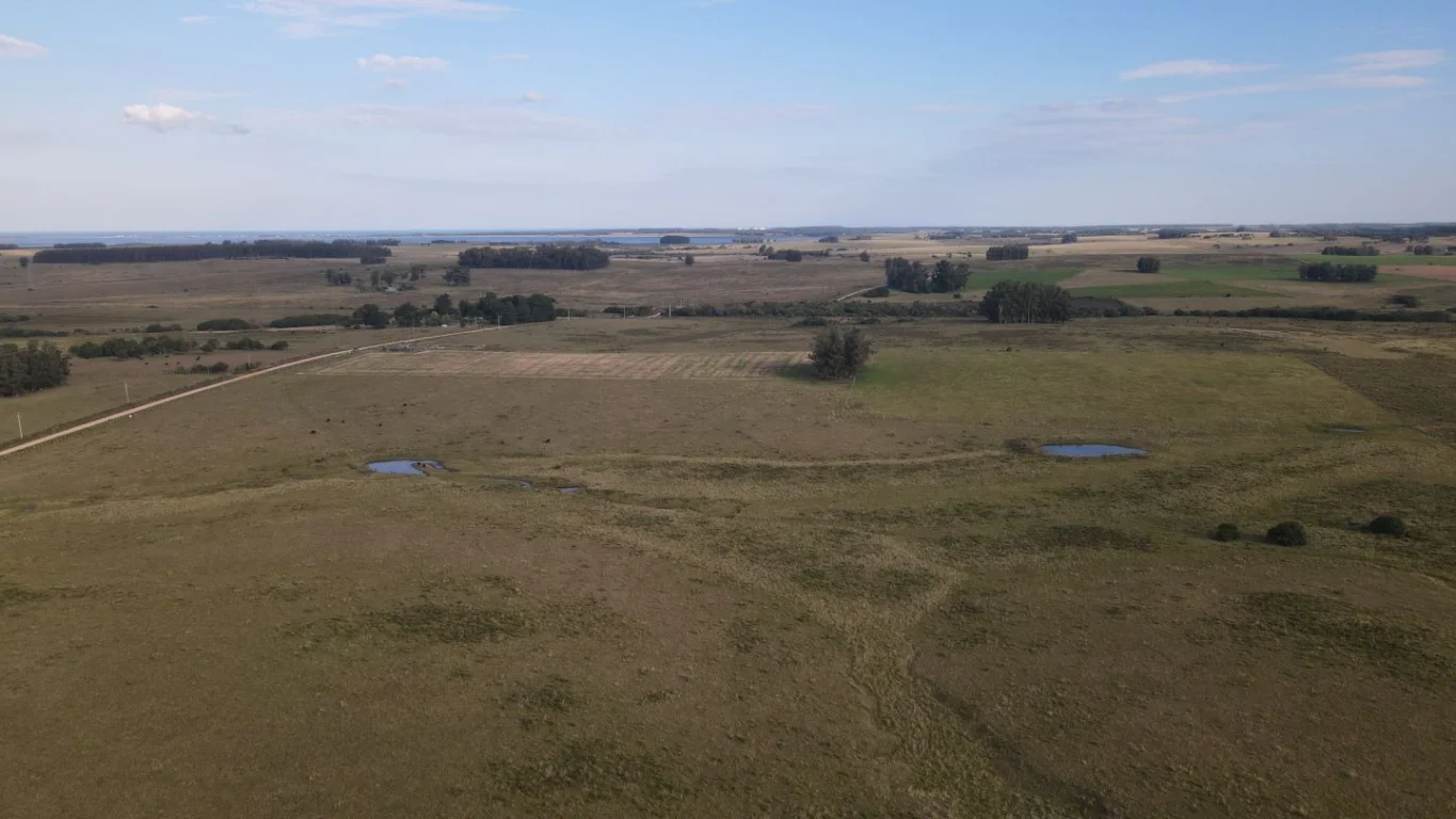 Campo en José Ignacio, propiedad 289775 -Imagen 8