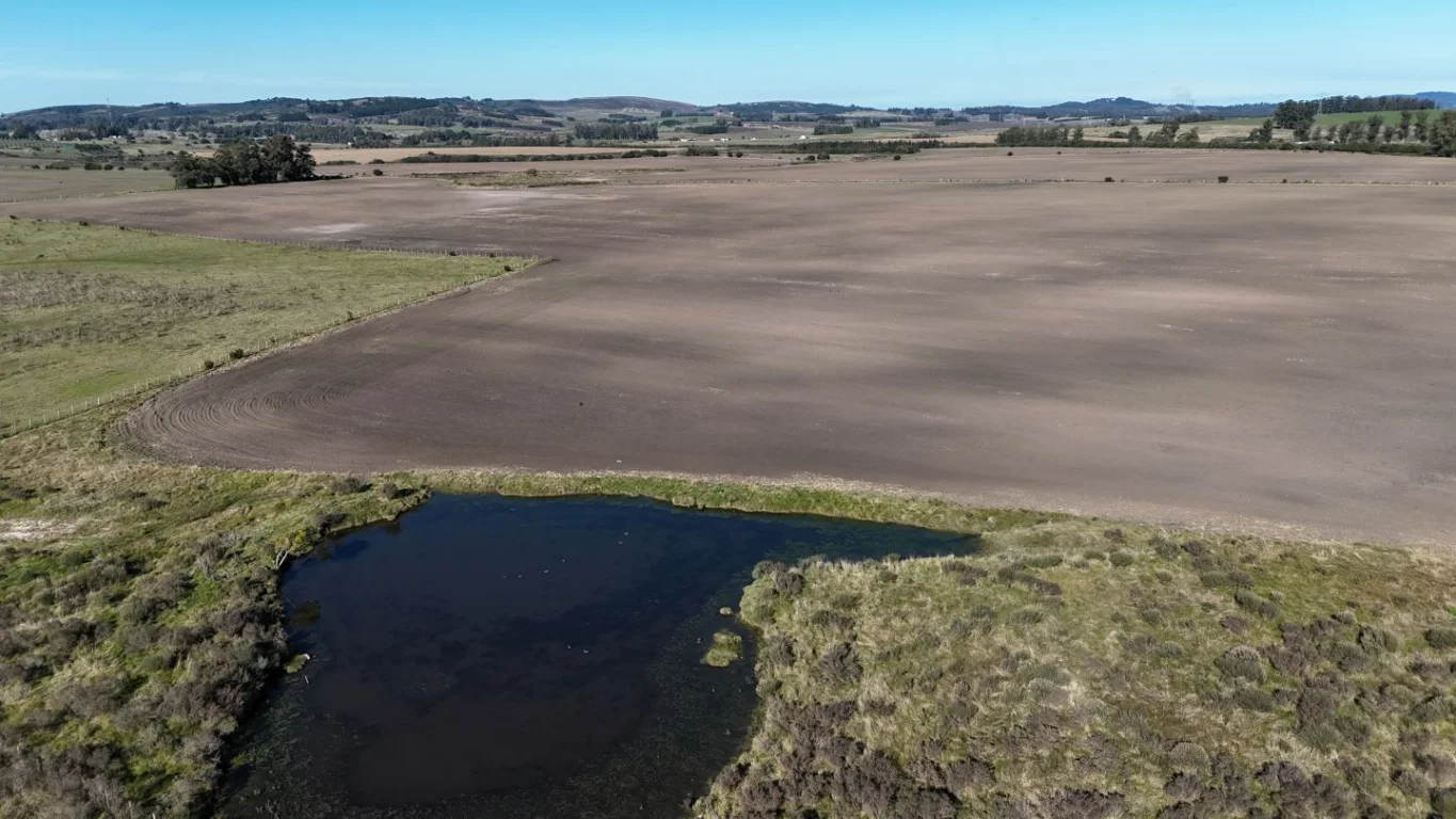Campo en Laguna del Sauce, propiedad 289837 -Imagen 9