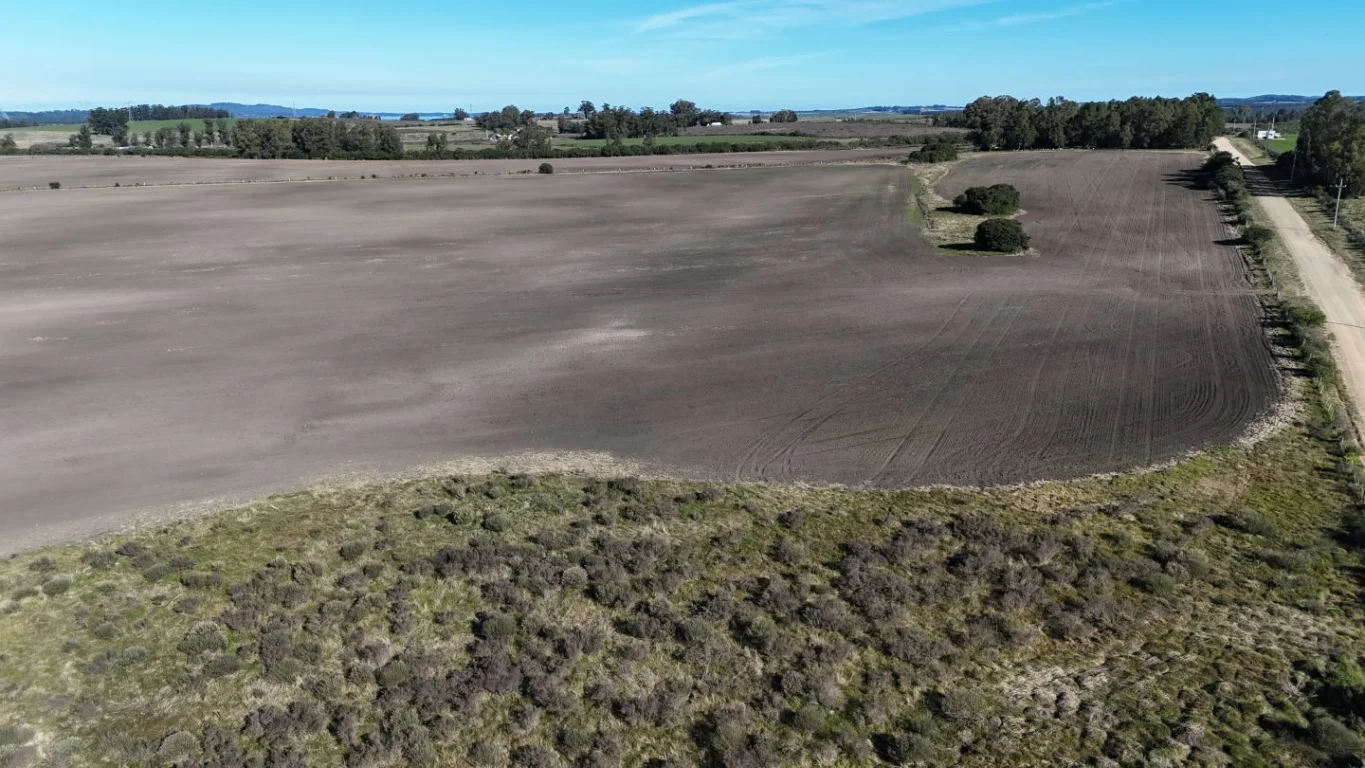 Campo en Laguna del Sauce, propiedad 289837 -Imagen 10