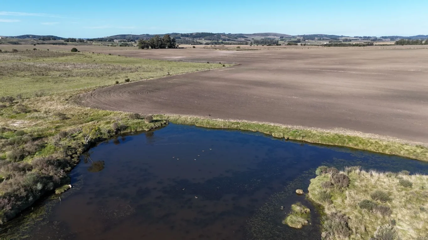 Campo en Laguna del Sauce, propiedad 289837 -Imagen 11