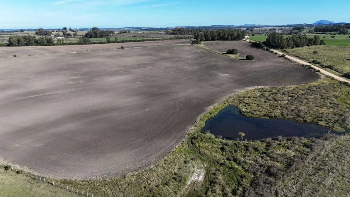 Campo en Laguna del Sauce, propiedad 289837 -Imagen 12