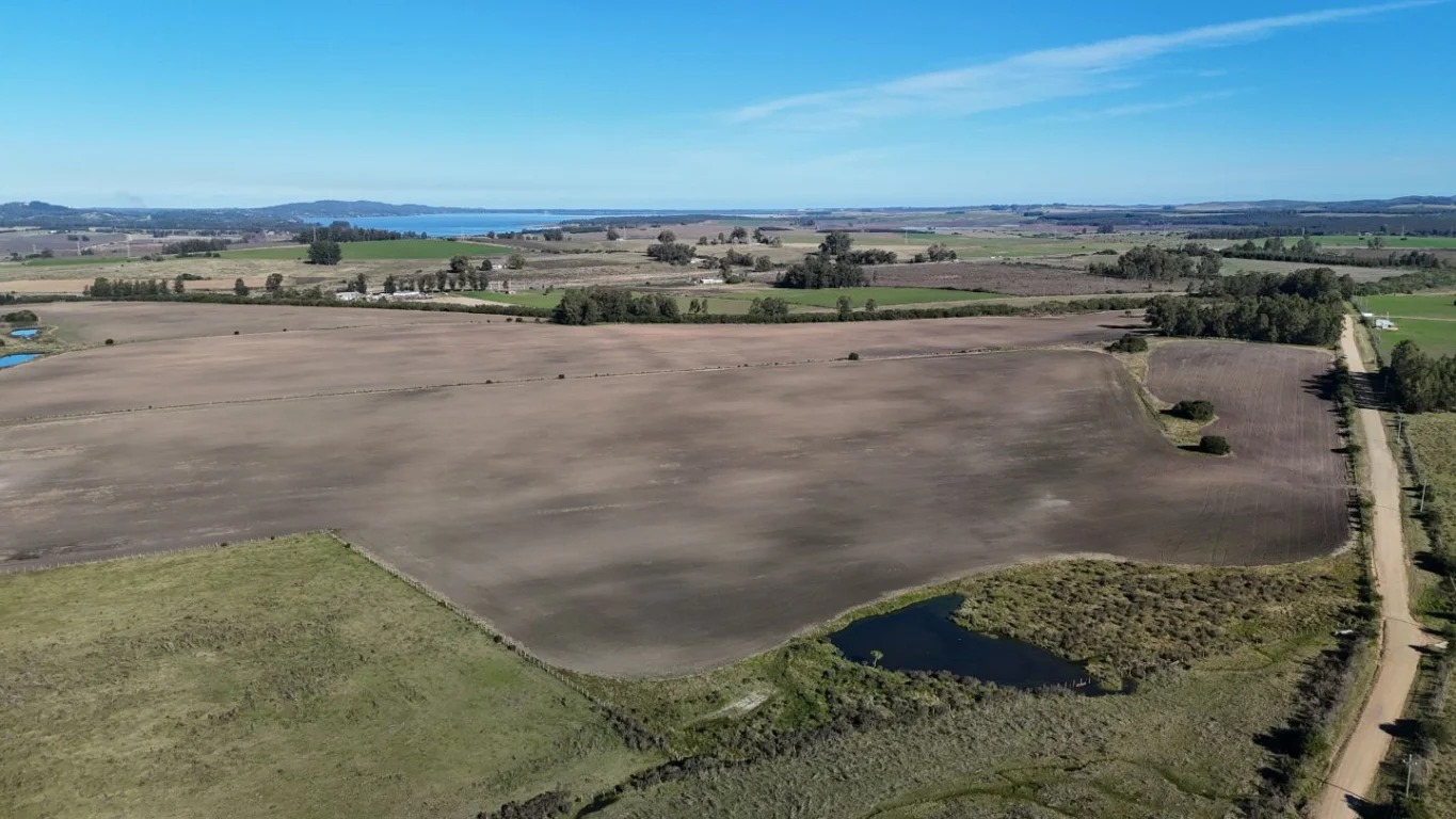 Campo en Laguna del Sauce, propiedad 289837 -Imagen 13