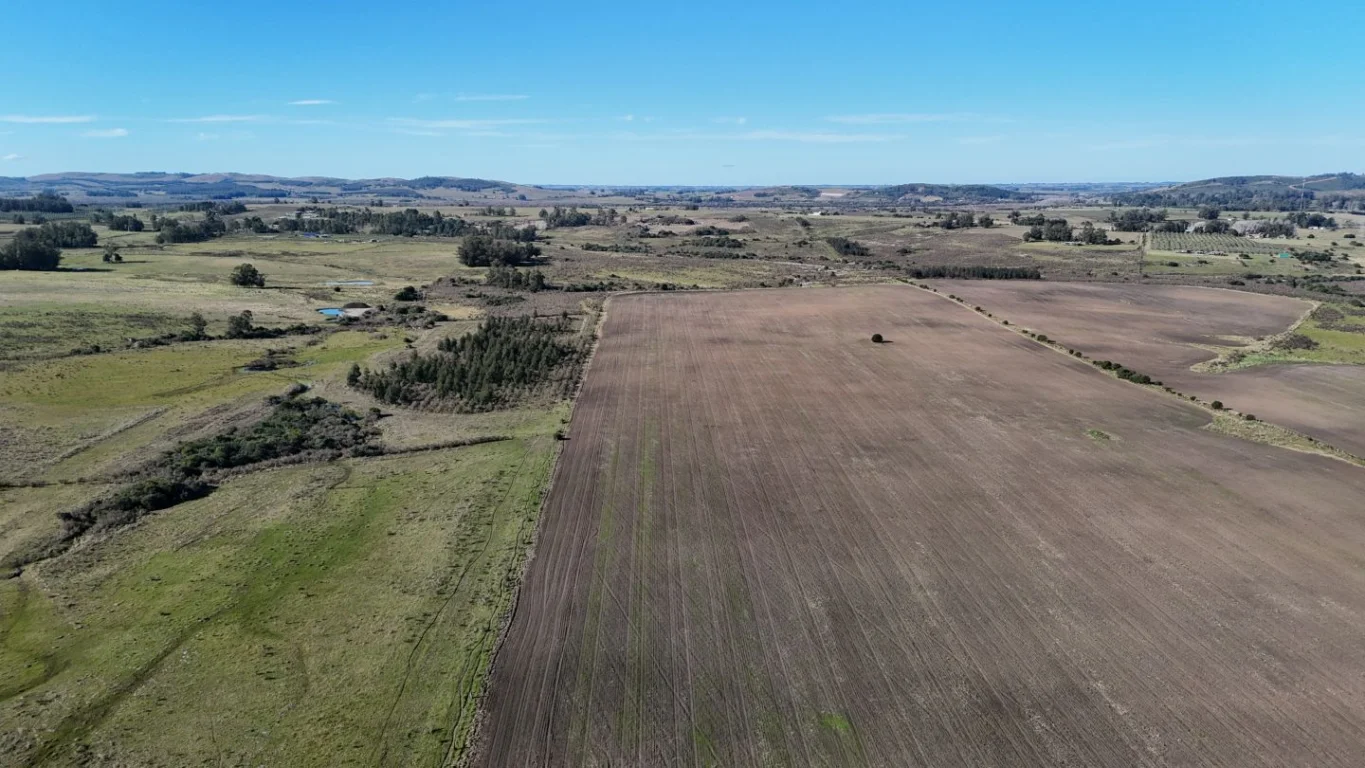 Campo en Laguna del Sauce, propiedad 289837 -Imagen 14