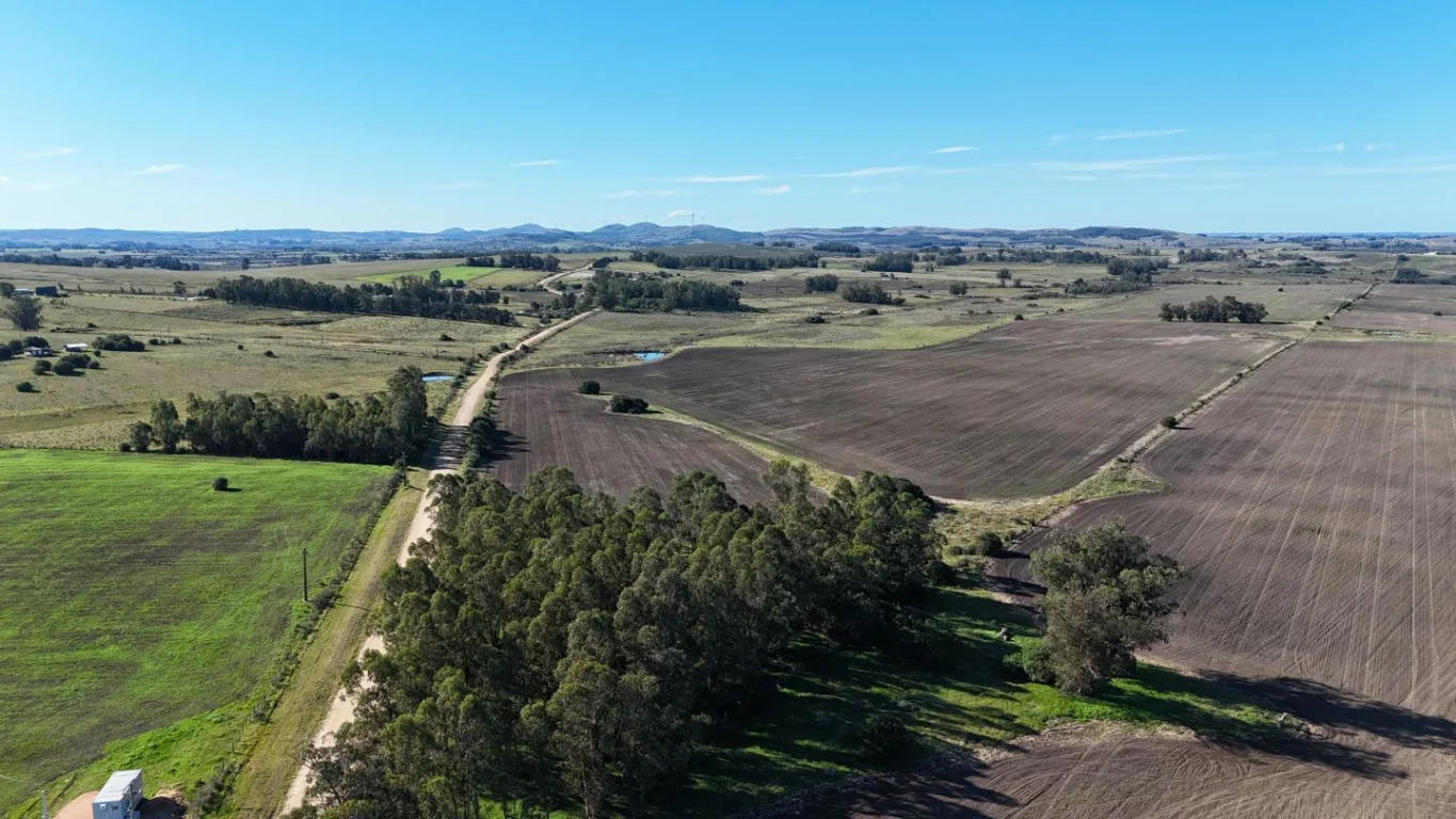 Campo en Laguna del Sauce, propiedad 289837 -Imagen 3
