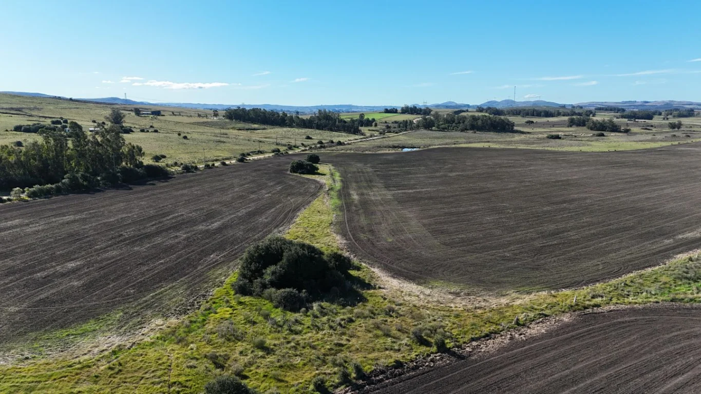 Campo en Laguna del Sauce, propiedad 289837 -Imagen 5