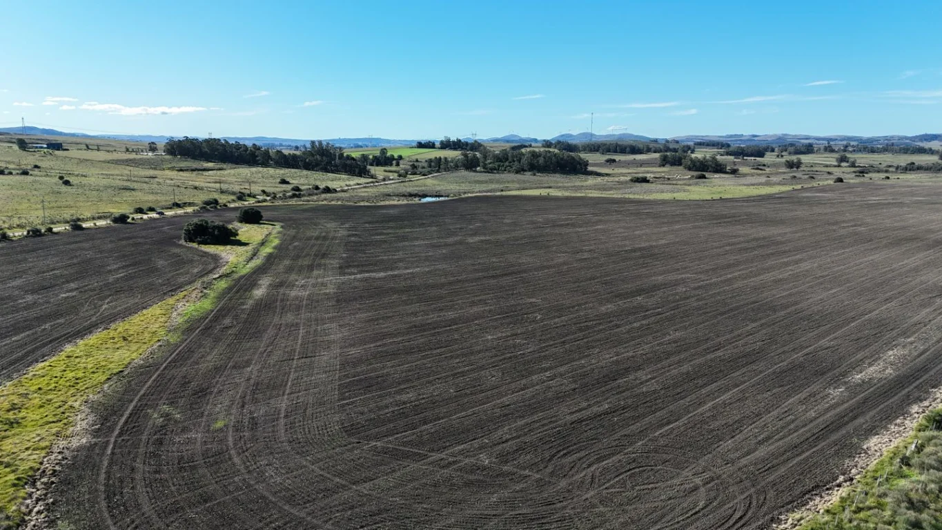 Campo en Laguna del Sauce, propiedad 289837 -Imagen 6