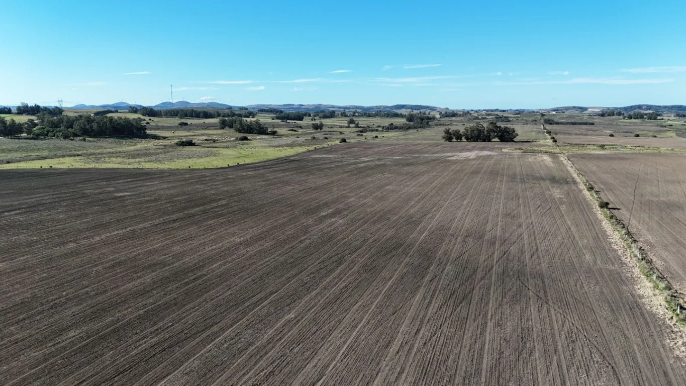 Campo en Laguna del Sauce, propiedad 289837 -Imagen 7