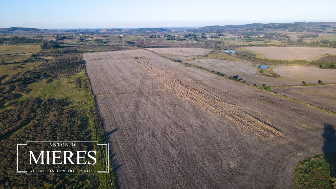 Campo en Laguna del Sauce, propiedad 289838 -Imagen 9