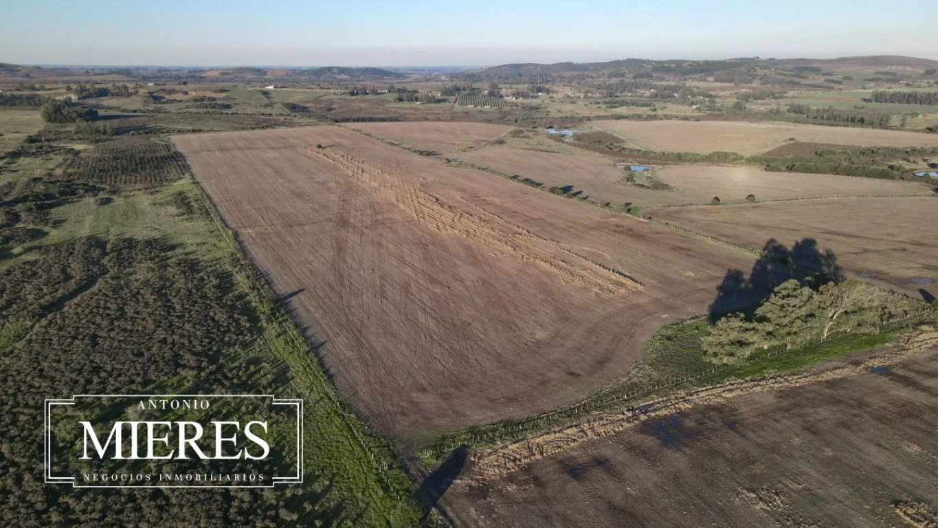 Campo en Laguna del Sauce, propiedad 289838 -Imagen 10