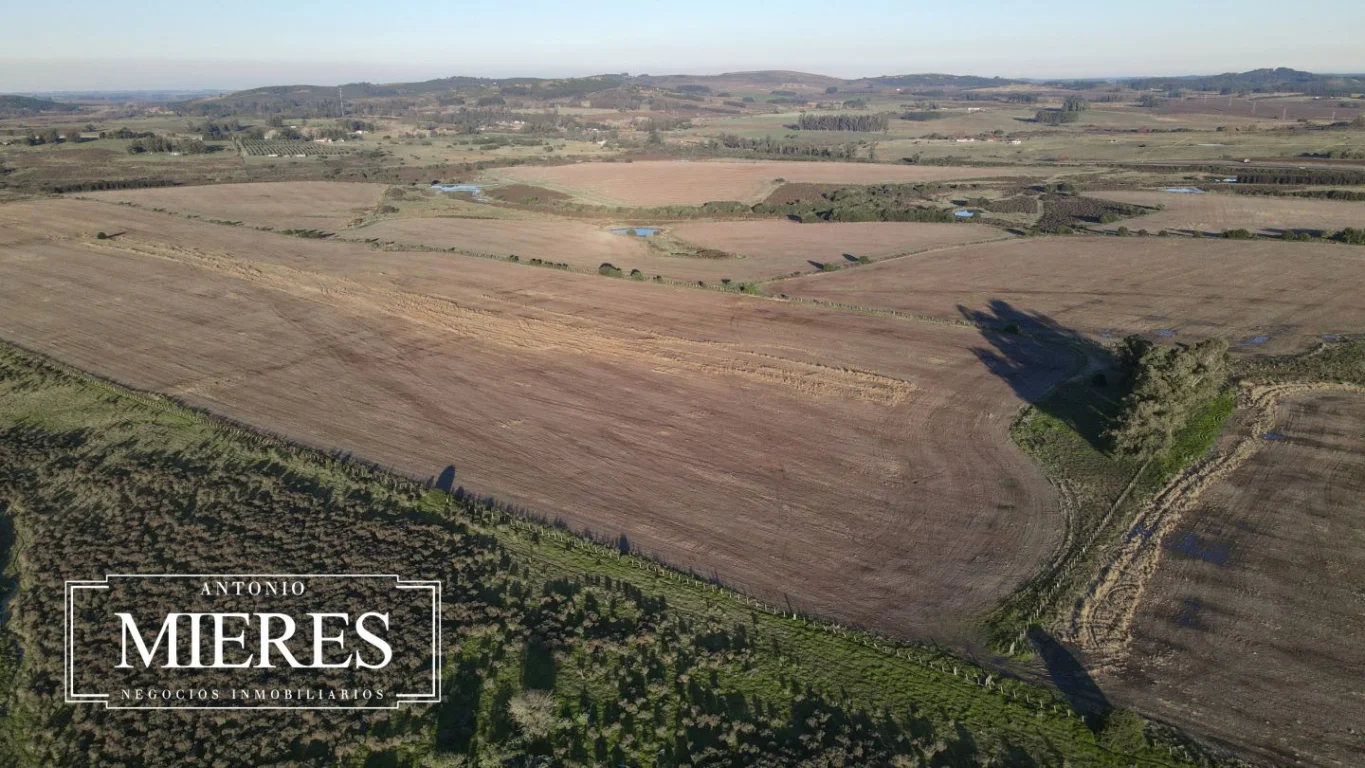 Campo en Laguna del Sauce, propiedad 289838 -Imagen 11