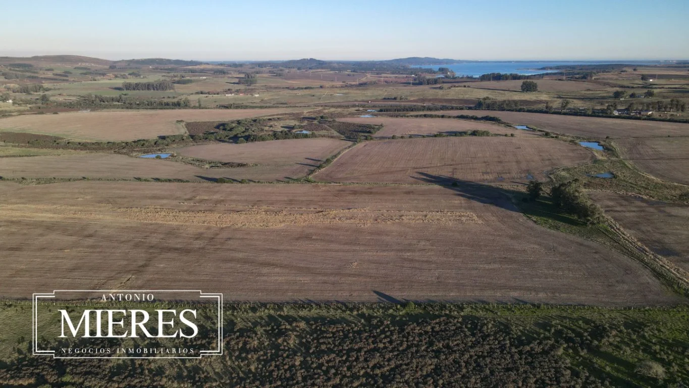 Campo en Laguna del Sauce, propiedad 289838 -Imagen 12