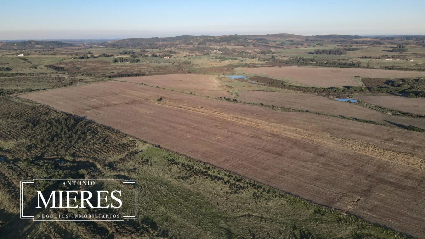Campo en Laguna del Sauce, propiedad 289838 -Imagen 13