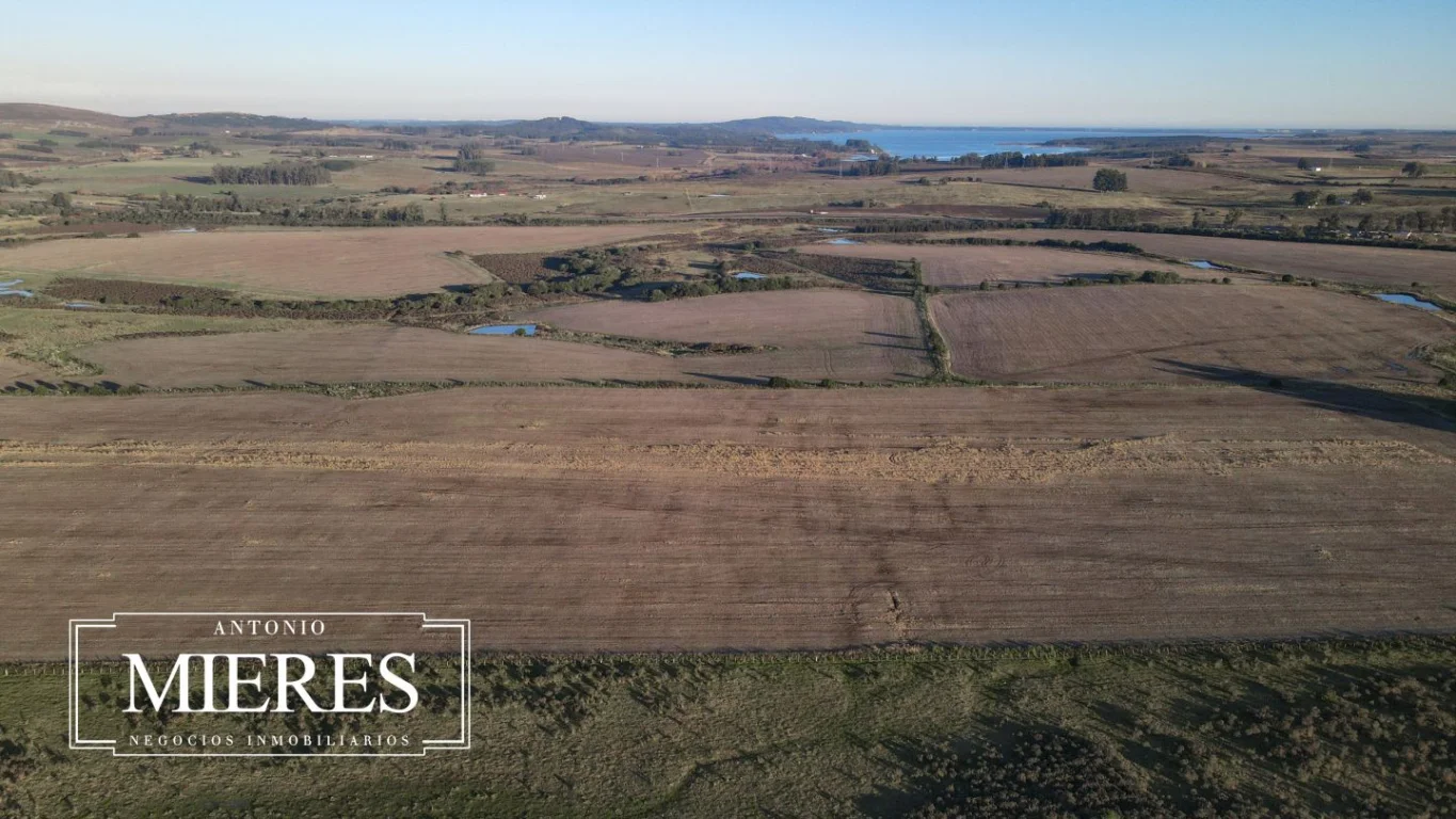 Campo en Laguna del Sauce, propiedad 289838 -Imagen 14