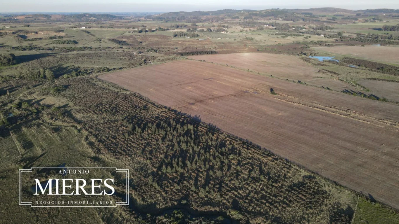 Campo en Laguna del Sauce, propiedad 289838 -Imagen 15