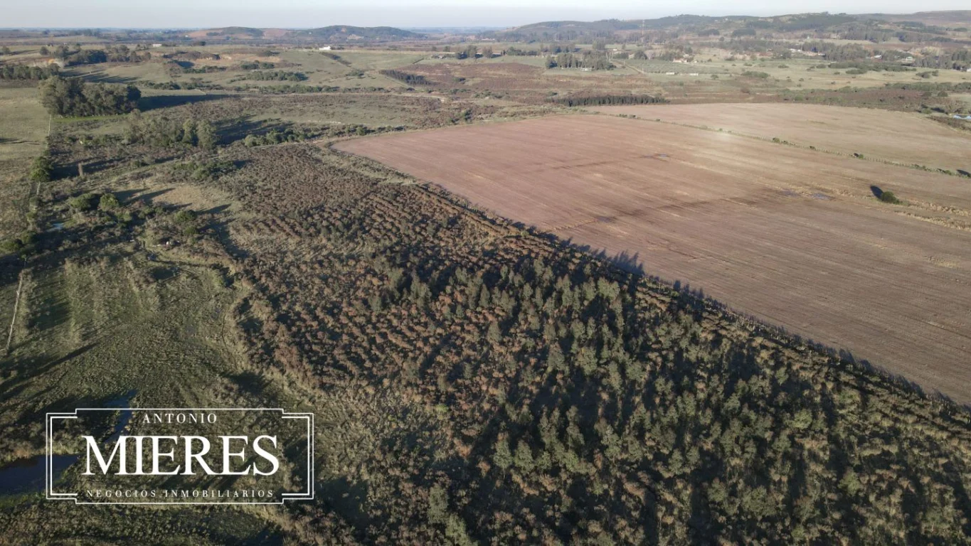Campo en Laguna del Sauce, propiedad 289838 -Imagen 16