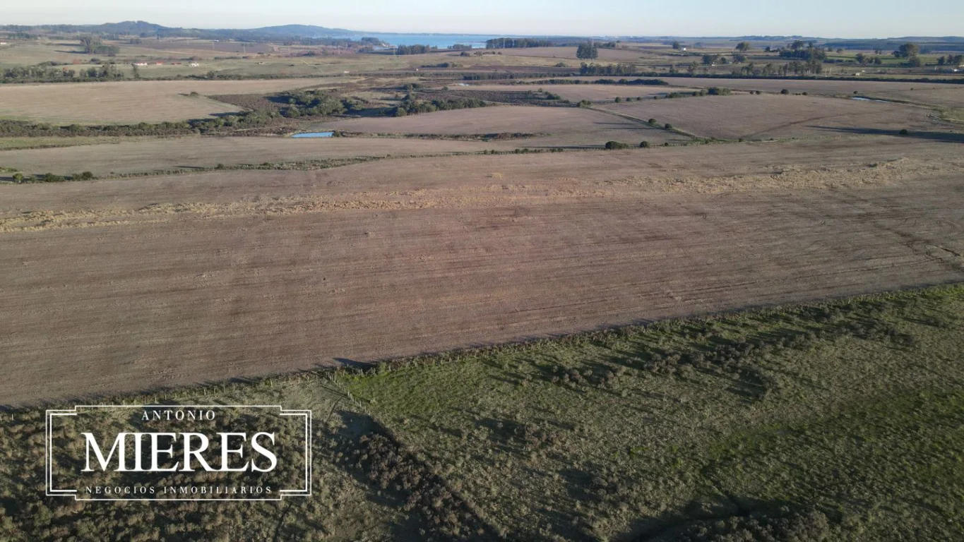 Campo en Laguna del Sauce, propiedad 289838 -Imagen 17