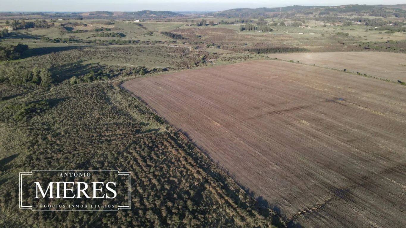 Campo en Laguna del Sauce, propiedad 289838 -Imagen 18