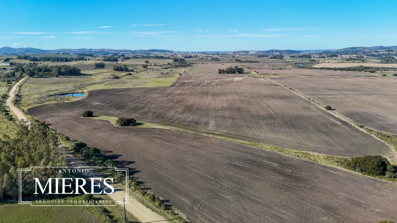 Campo en Laguna del Sauce, propiedad 289838 -Imagen 19