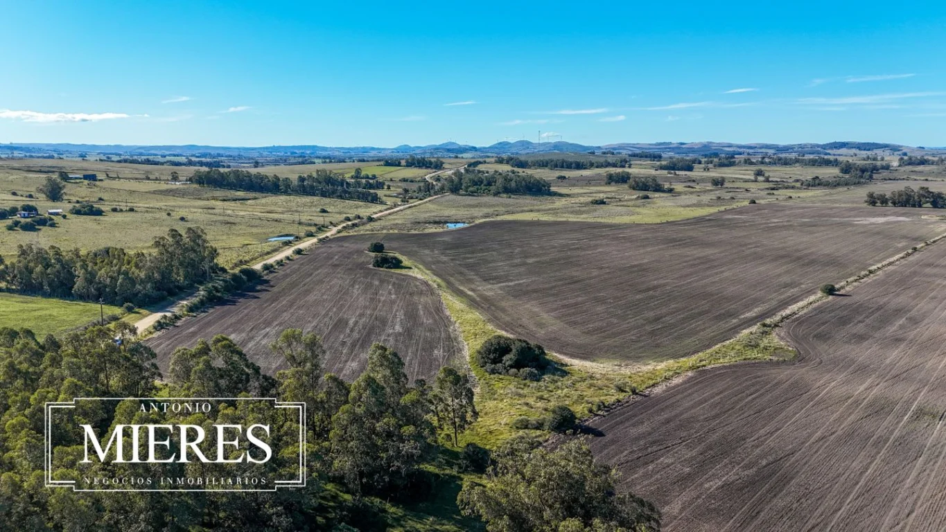 Campo en Laguna del Sauce, propiedad 289838 -Imagen 21