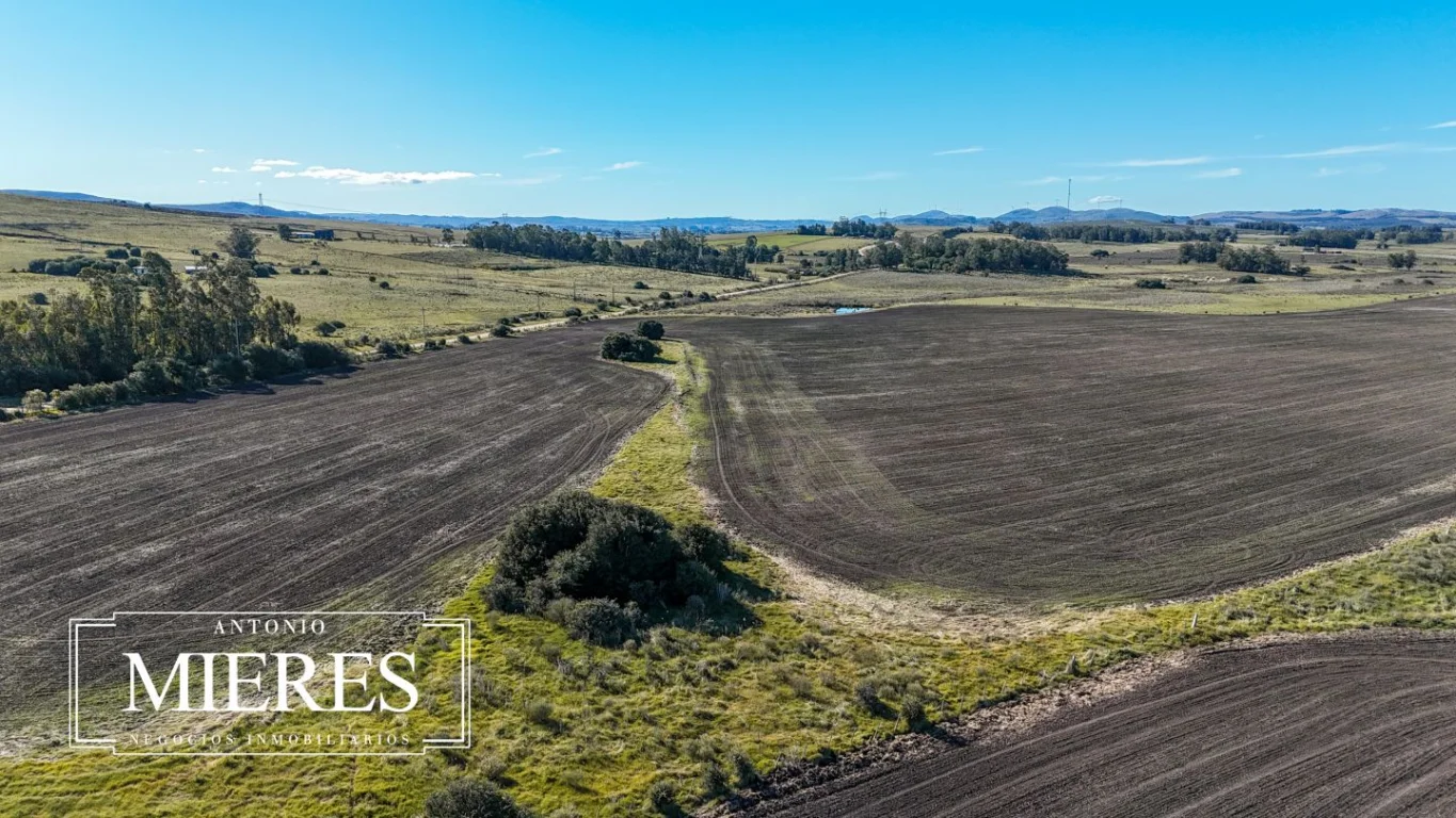 Campo en Laguna del Sauce, propiedad 289838 -Imagen 22