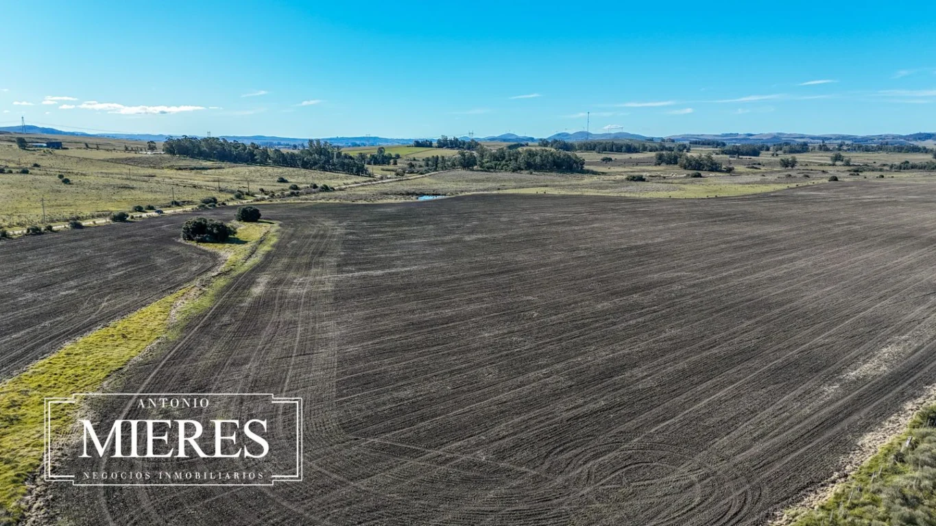 Campo en Laguna del Sauce, propiedad 289838 -Imagen 23
