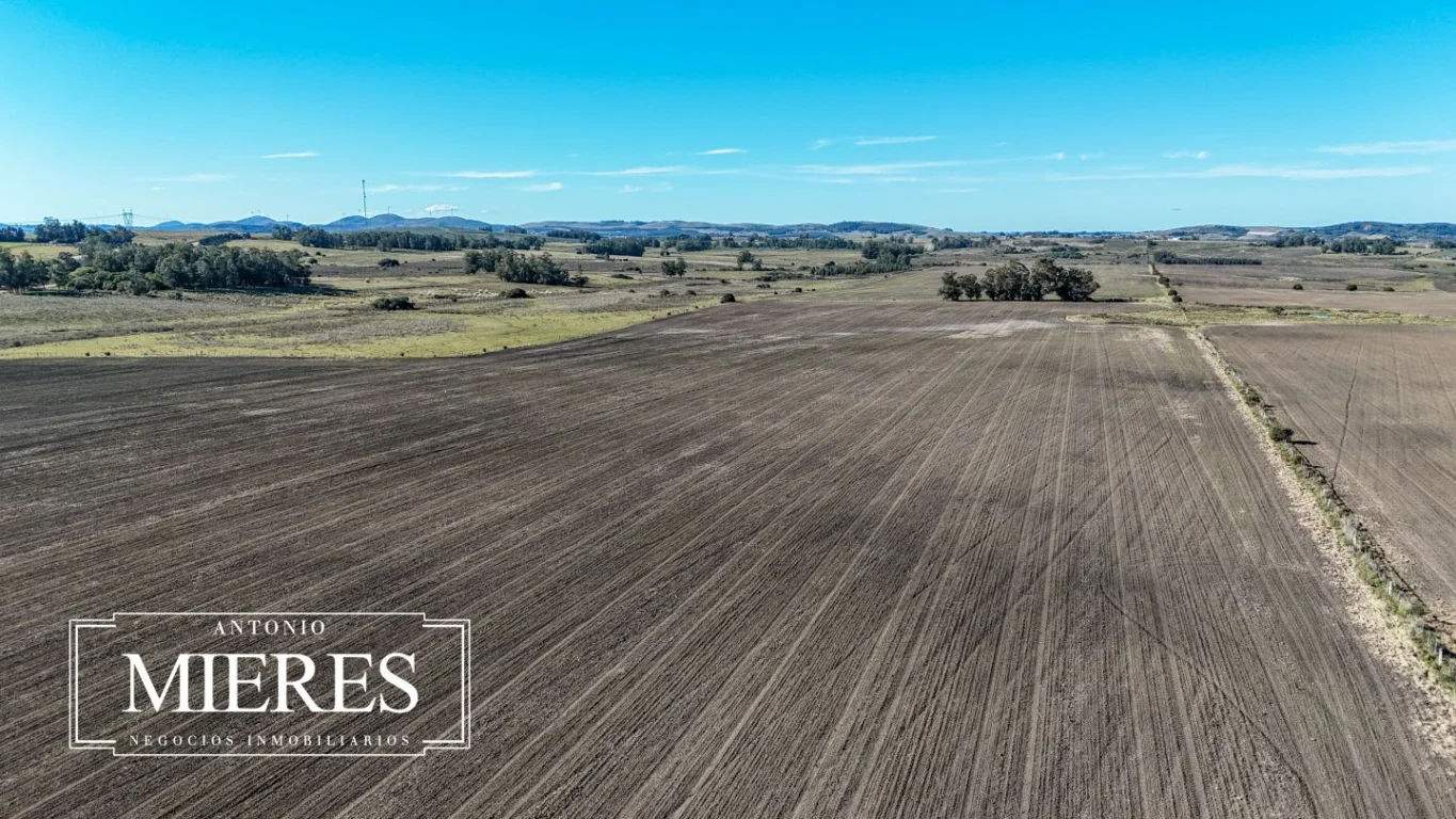 Campo en Laguna del Sauce, propiedad 289838 -Imagen 24