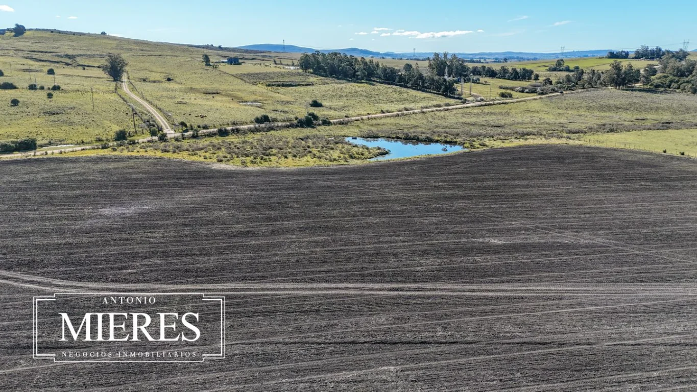 Campo en Laguna del Sauce, propiedad 289838 -Imagen 25