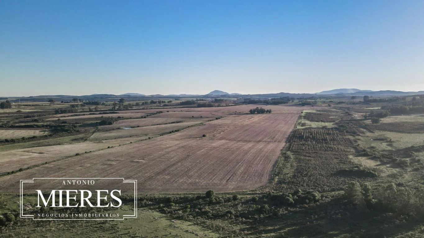 Campo en Laguna del Sauce, propiedad 289838 -Imagen 2