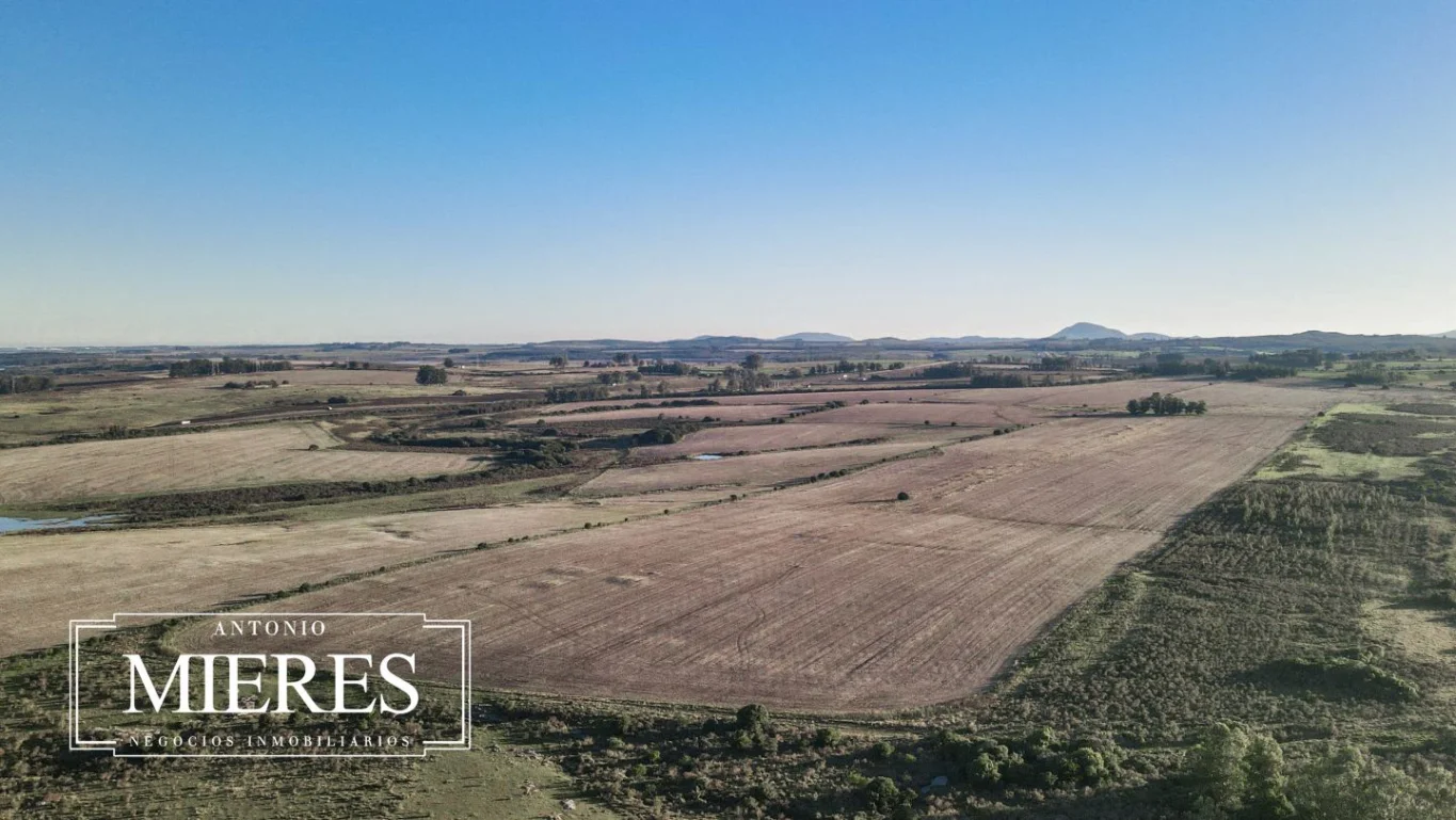 Campo en Laguna del Sauce, propiedad 289838 -Imagen 3