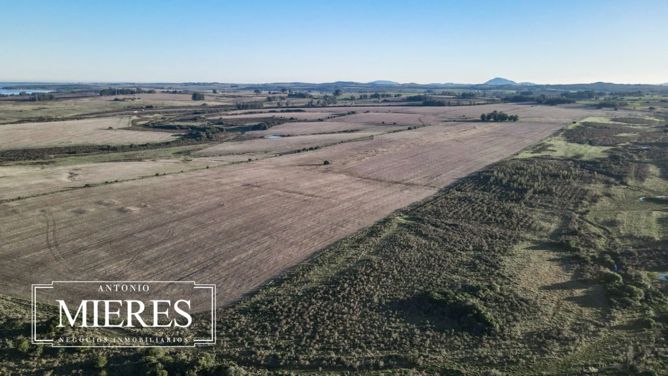 Campo en Laguna del Sauce, propiedad 289838 -Imagen 4