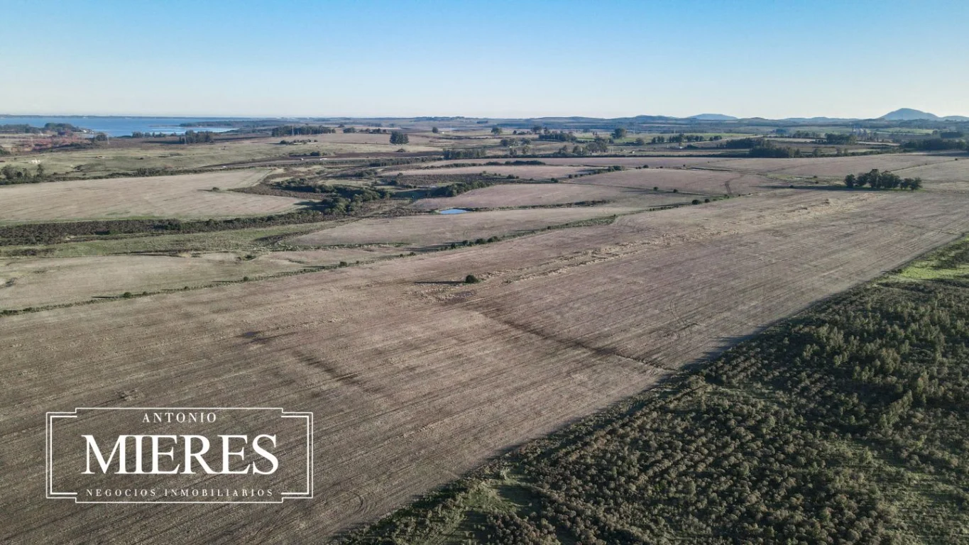 Campo en Laguna del Sauce, propiedad 289838 -Imagen 5