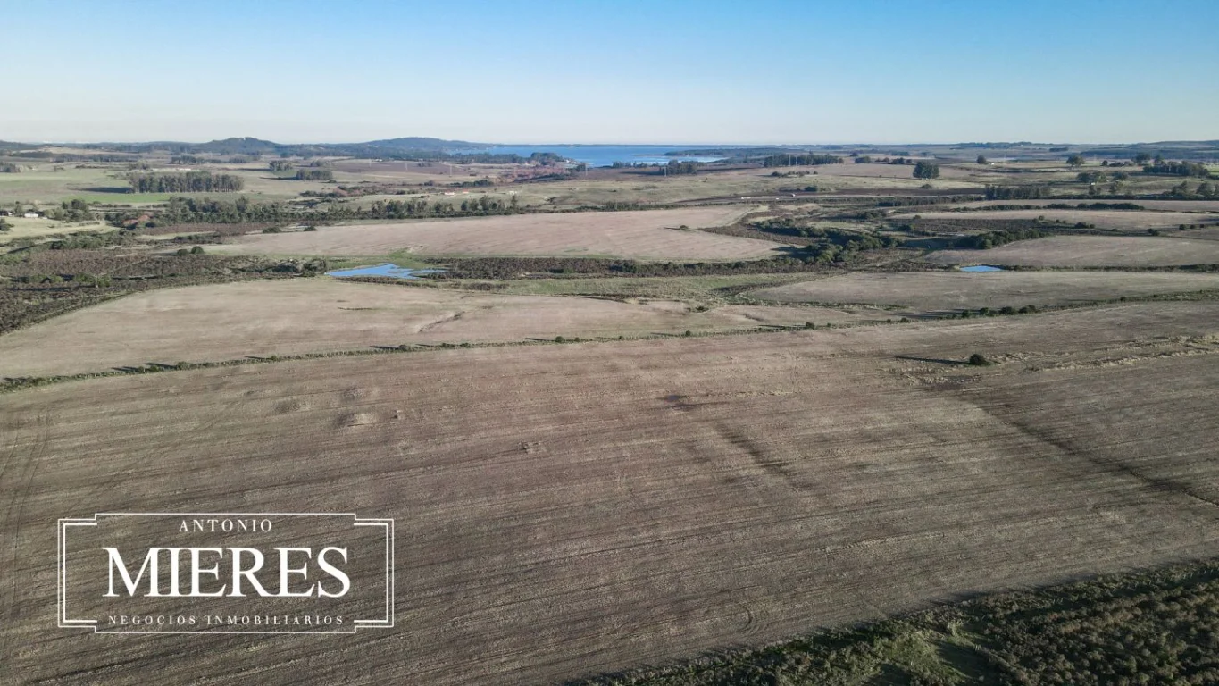 Campo en Laguna del Sauce, propiedad 289838 -Imagen 6