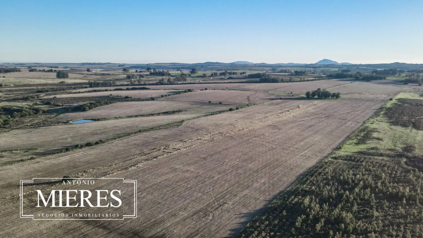 Campo en Laguna del Sauce, propiedad 289838 -Imagen 7