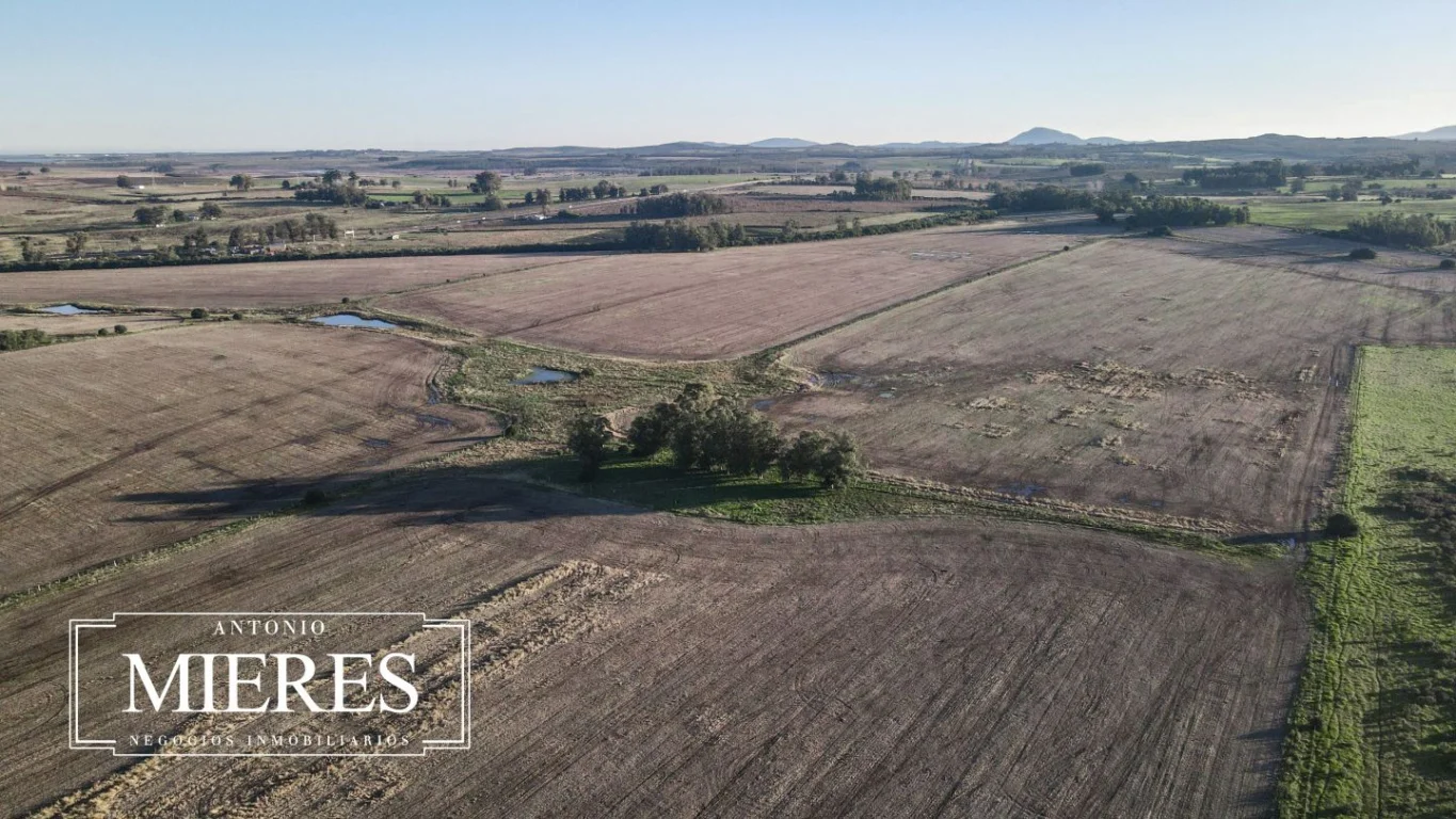 Campo en Laguna del Sauce, propiedad 289838 -Imagen 8