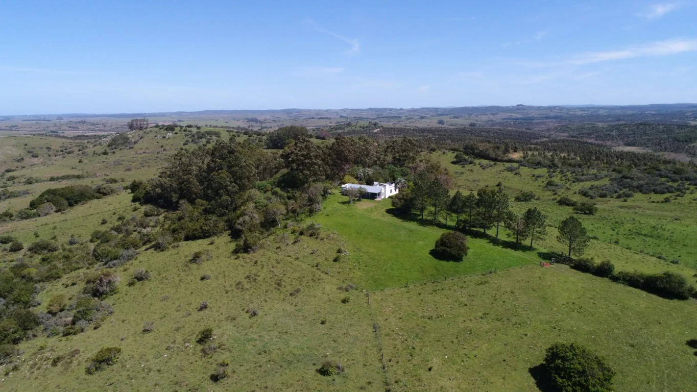 Campo en Punta del Este, propiedad 289964 -Imagen 2