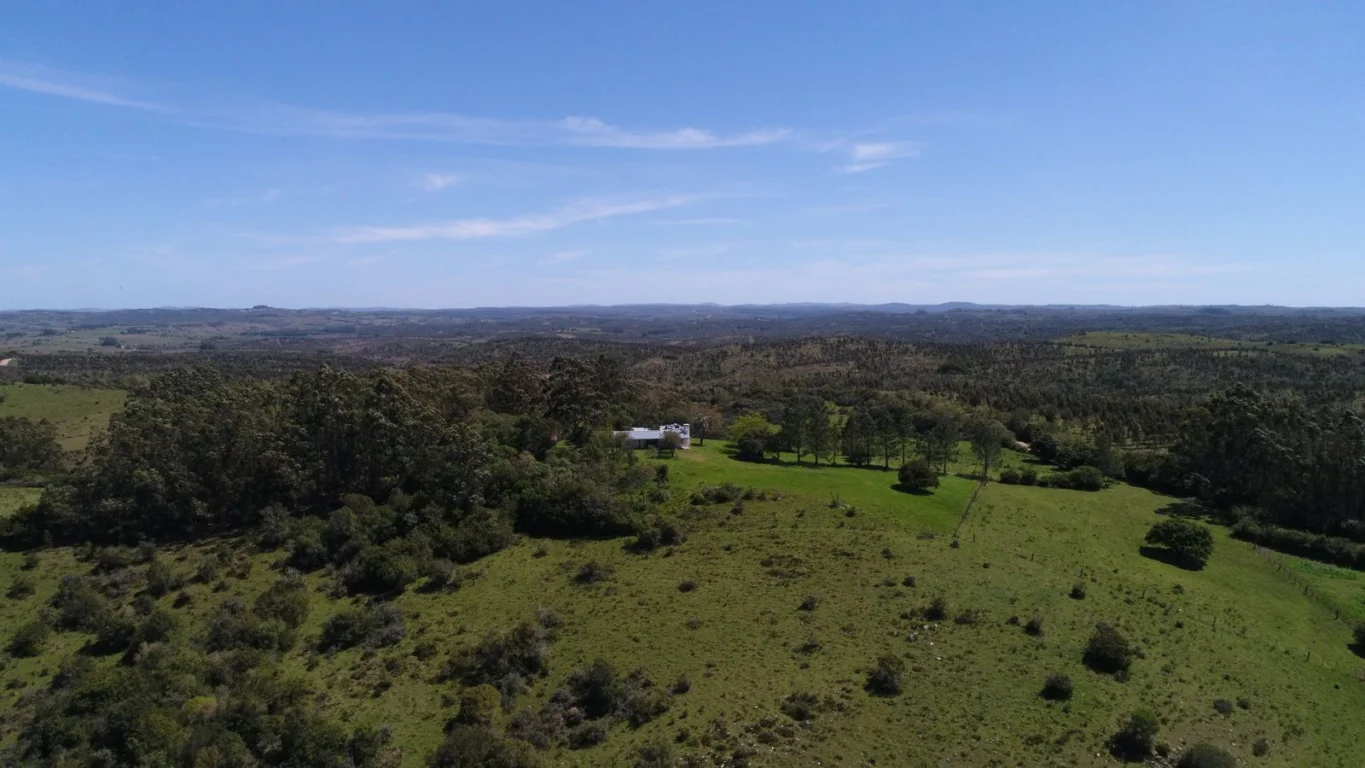 Campo en Punta del Este, propiedad 289964 -Imagen 3