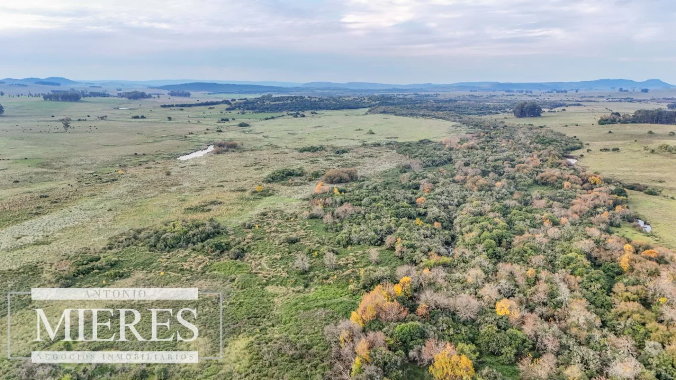 Campo en Maldonado, propiedad 290222 -Imagen 12