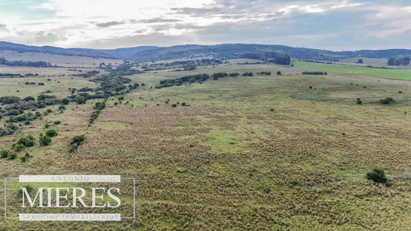 Campo en Maldonado, propiedad 290222 -Imagen 13