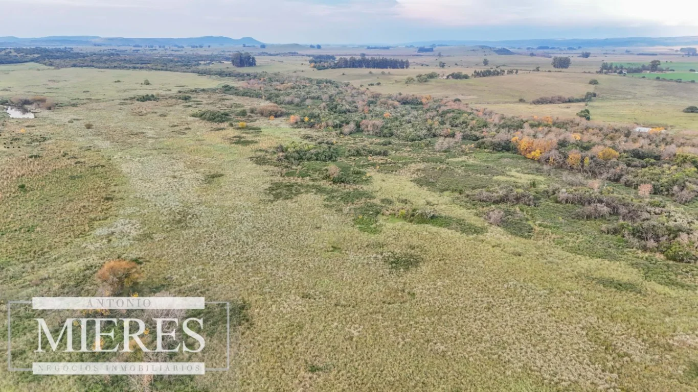 Campo en Maldonado, propiedad 290222 -Imagen 14