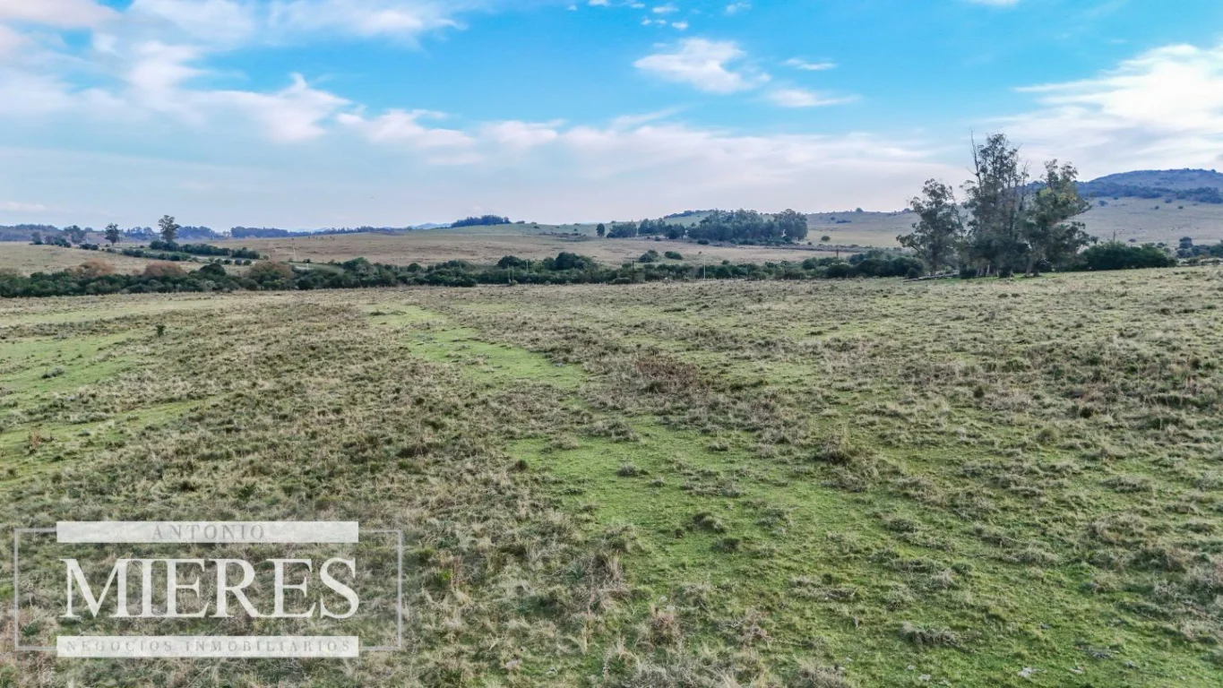 Campo en Maldonado, propiedad 290222 -Imagen 22