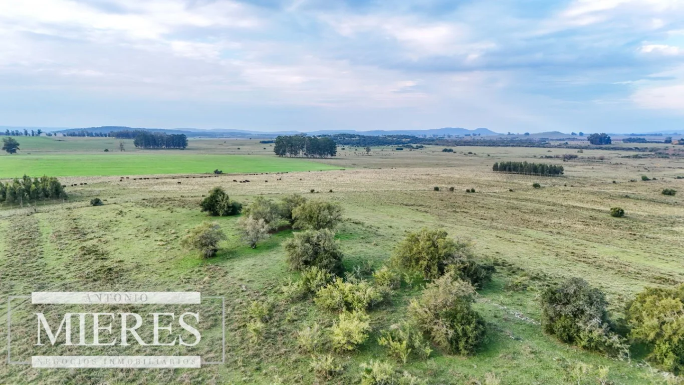 Campo en Maldonado, propiedad 290222 -Imagen 24